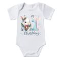 Cute bunny