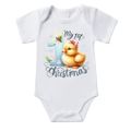 Cute duck
