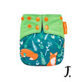 Foxes print