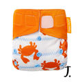 Crabby print
