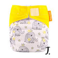 Elephant print