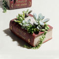Size: 14*10.5*5cm