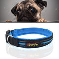Size: M, 2.5*42*47cm