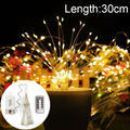 30CM Warm White