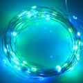 LED1001LG