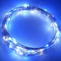 LED1001LW