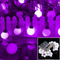 4m Purple Light