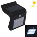 8 LEDs White Light