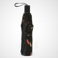 Black Feather Pattern