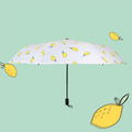 Lemon Pattern