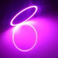80mm Pink Light
