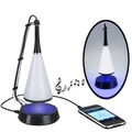 With Bluetooth Speaker/Black