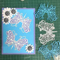Butterfly Shape