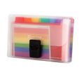 Multicolor Buckle