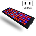 US Plug