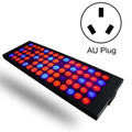 AU Plug