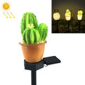 Three Head Cactus