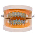 Gold Lower Teeth