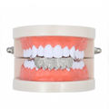 Silver Lower Teeth