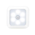 White Shell White Light