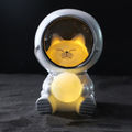 Kitten Astronaut