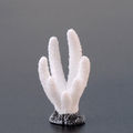 No. 1 White