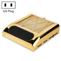 US Plug (Gold)
