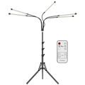 E2 Tripod 5 Head