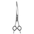 Curved Shears