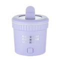 US Plug Purple