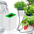 Water 8 Potted Plants