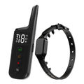 Receiver + Remote