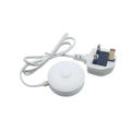 UK Plug