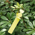 Plant Label 5 Yellow