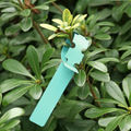 Plant Label 5 Green