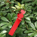 Plant Label 5 Red