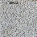 Marula