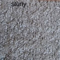 Stony