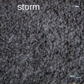 Storm