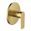Brushed Gold