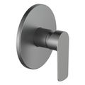 Brushed Gun Grey