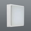 Warm White