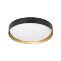 Black / Gold