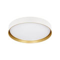 White / Gold
