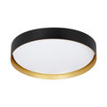 Black / Gold