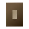 Dark Bronze / Champagne