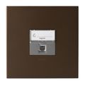Dark Bronze