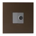 Dark Bronze