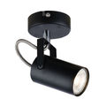 1 Light