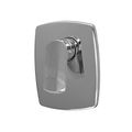 Polished Chrome
